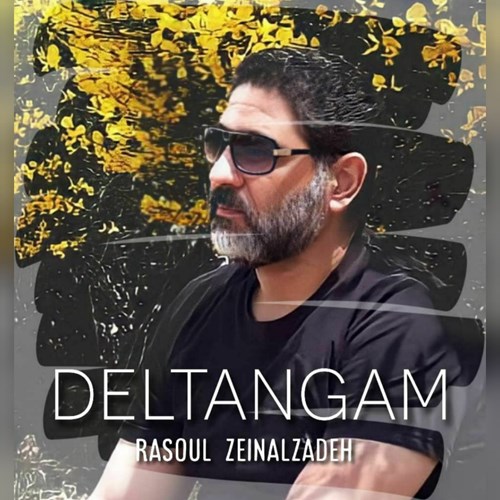 رسول زینال زاده دلتنگم